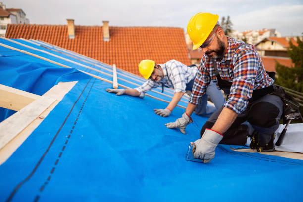 Best Roof Maintenance Services  in Rainier, WA
