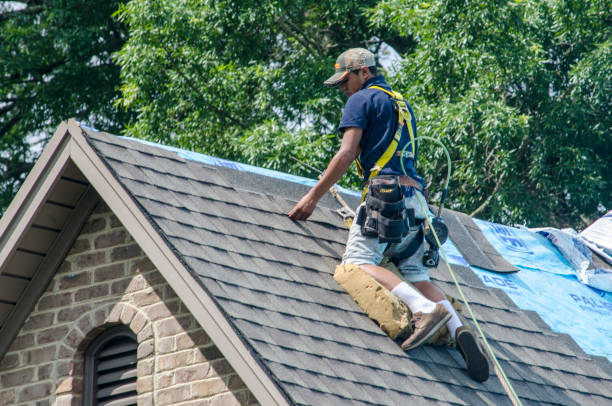 Best New Roof Installation  in Rainier, WA